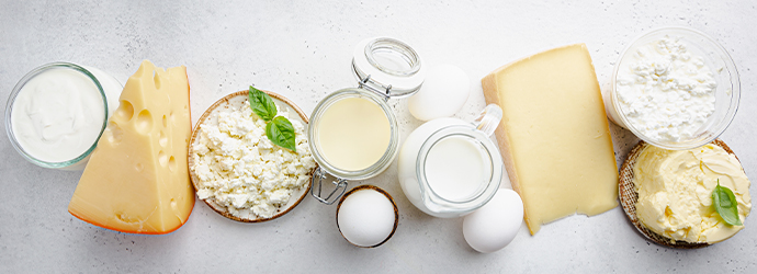 Marisco é fonte de vitamina B12