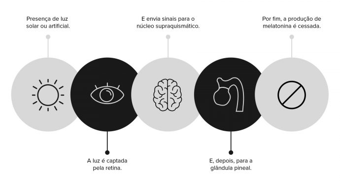 Infográfico do funcionamento do hormônio melatonina durante o dia